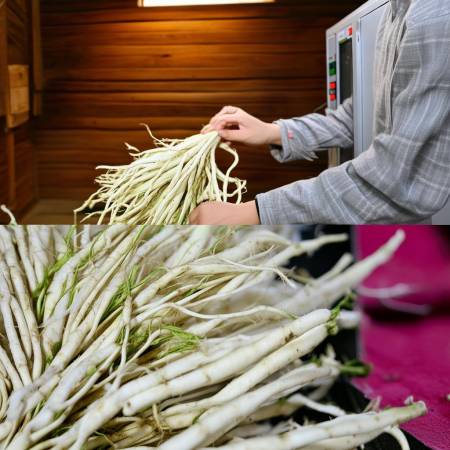 白芍烘干新科技,环保高效。