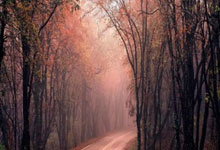 天颛防盗门维修热线介绍天颛防盗门电子锁指纹识别速度慢导致因素