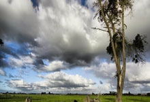 伊莱克斯中央空调维修售后24小时服务400电话普及伊莱克斯中央空调室内机出风温度与设定温度差别大解决办法