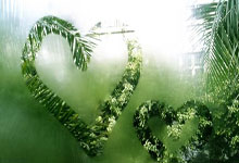 扬子太阳能报修维修热线电话梳理扬子太阳能热水器拉线多长